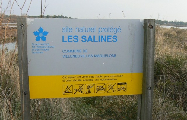 <div class="slider-caption">
<div class="slider-title">Protection par la maîtrise foncière</div>
<div class="slider-copyright">Aten - Sophie Heyd
</div>
</div> <div class="slider-caption">
<div class="slider-title">Protection par la maîtrise foncière</div>
<div class="slider-copyright">Aten - Sophie Heyd
</div>
</div>