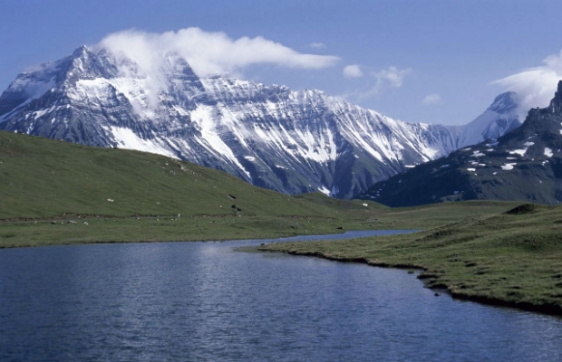 <div class="slider-caption">
<div class="slider-title">Protection législative directe</div>
<div class="slider-copyright">Parc national de la Vanoise - Christian Balais
</div>
</div> <div class="slider-caption">
<div class="slider-title">Protection législative directe</div>
<div class="slider-copyright">Parc national de la Vanoise - Christian Balais
</div>
</div>